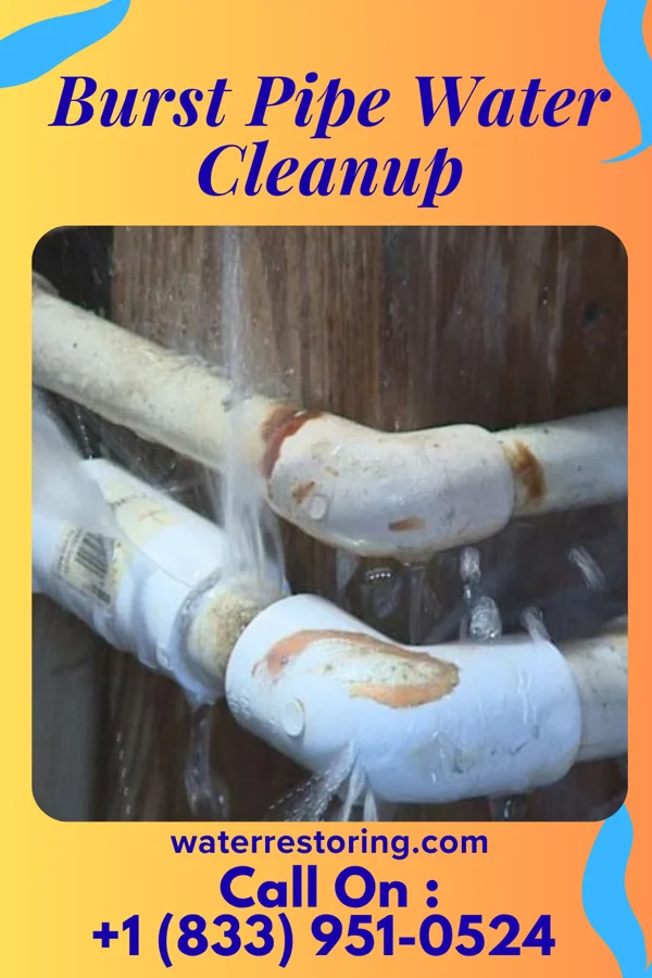 Burst Pipe Water Cleanup in New London, OH
