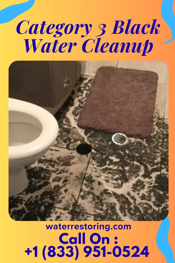 Category 3 Black Water Cleanup in New London, OH