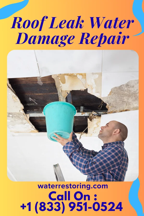Roof Leak Water Damage Repair in New London, OH